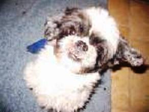 Murphy