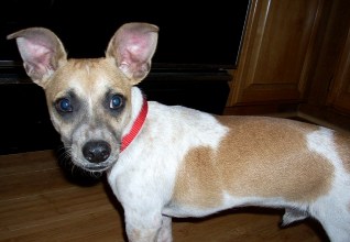 Axle